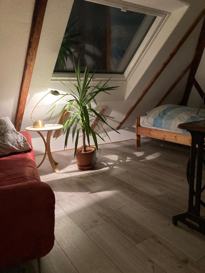 دوسلدورف Privates Appartment Ferienwohnung Im Einfamilienhaus المظهر الخارجي الصورة